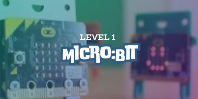 Micro:bit Level 1