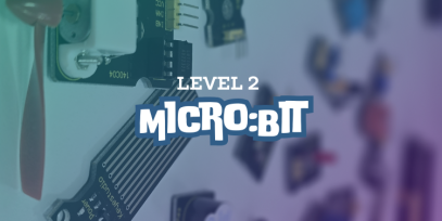 Micro:bit Level 2